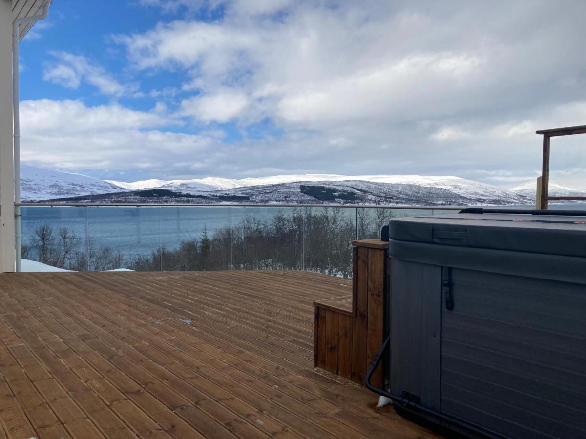 New In - Aurora Hotspot Tromso